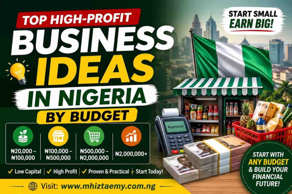 High-profit business ideas in Nigeria by budget showing low capital to high investment opportunities